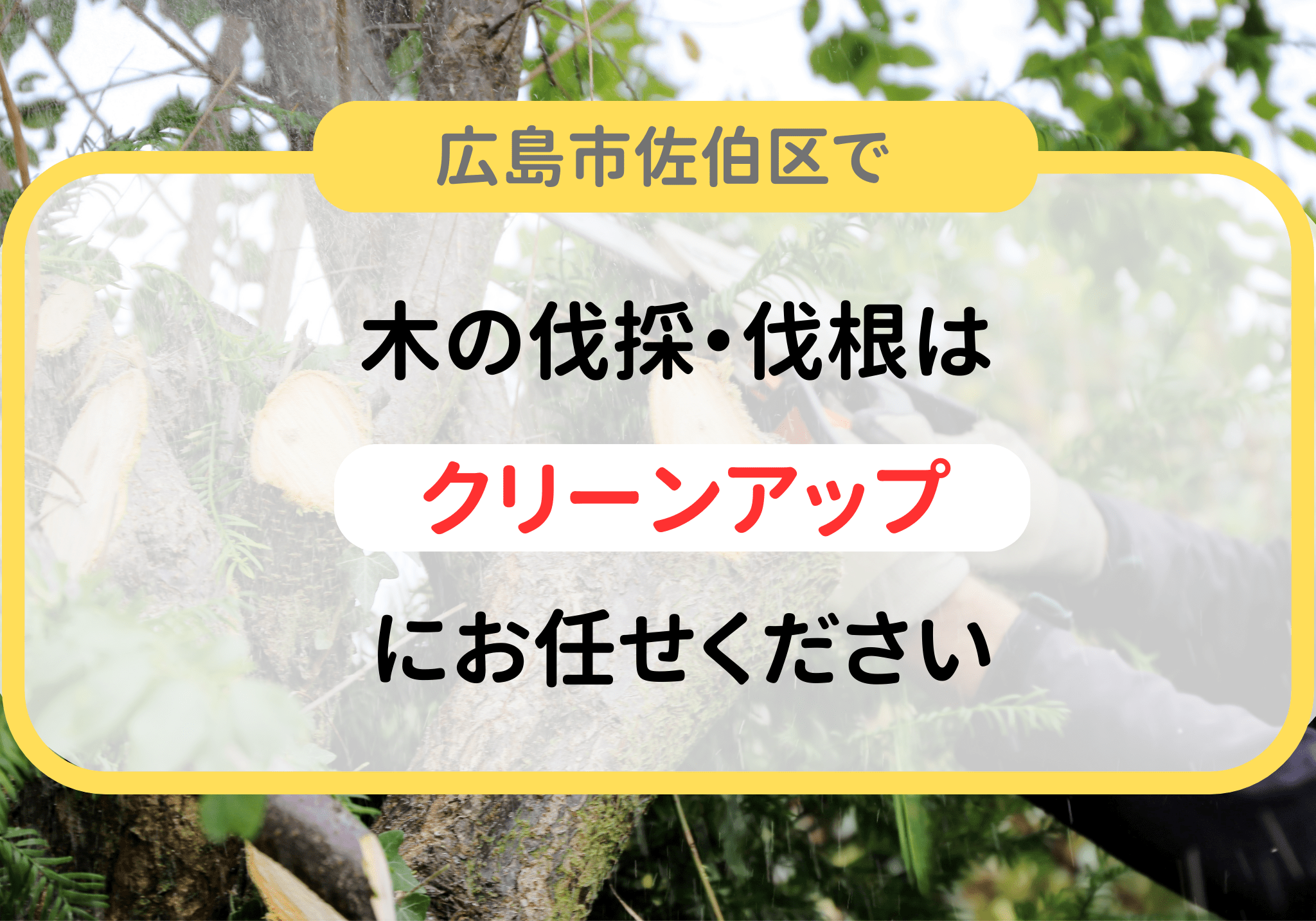 広島市佐伯区で木の伐採・抜根にお困りなら便利屋クリーンアップへ